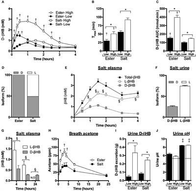 On the Metabolism of Exogenous Ketones in Humans